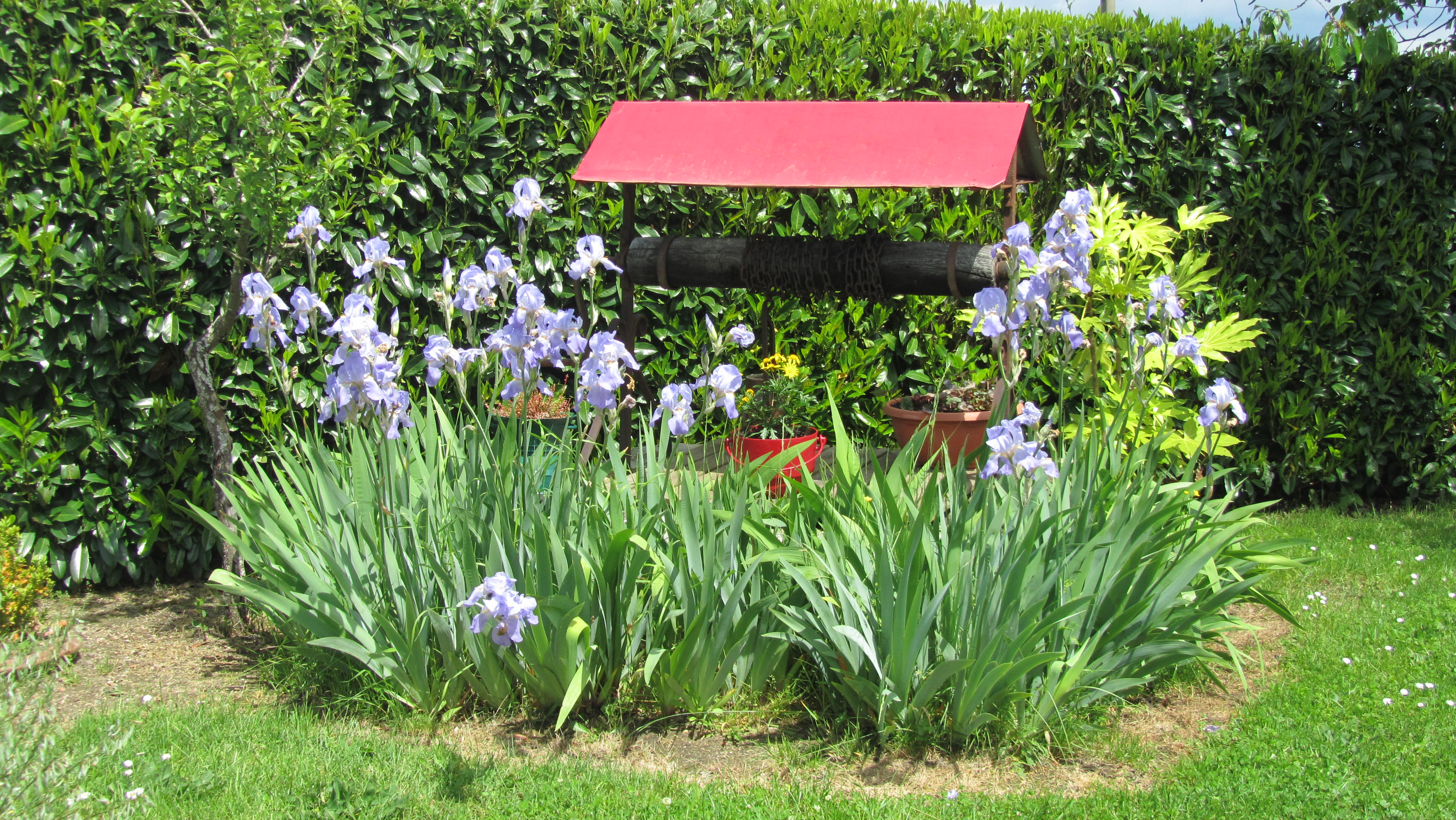 La Maison Bleue de Marie Gîte Allier